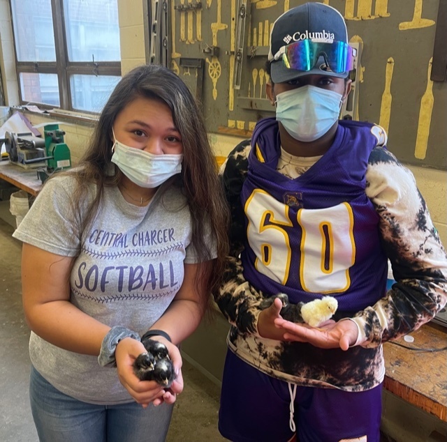 Dava Turner and Jaden Lee Holding Baby Chicks