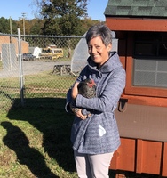 CHS Culinary Arts Adds Laying Hens to the Program!